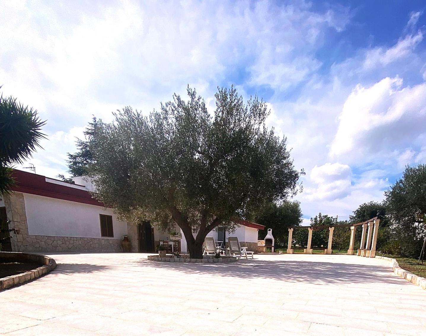 Casa Ale & Vinci Villa Monopoli Exterior photo