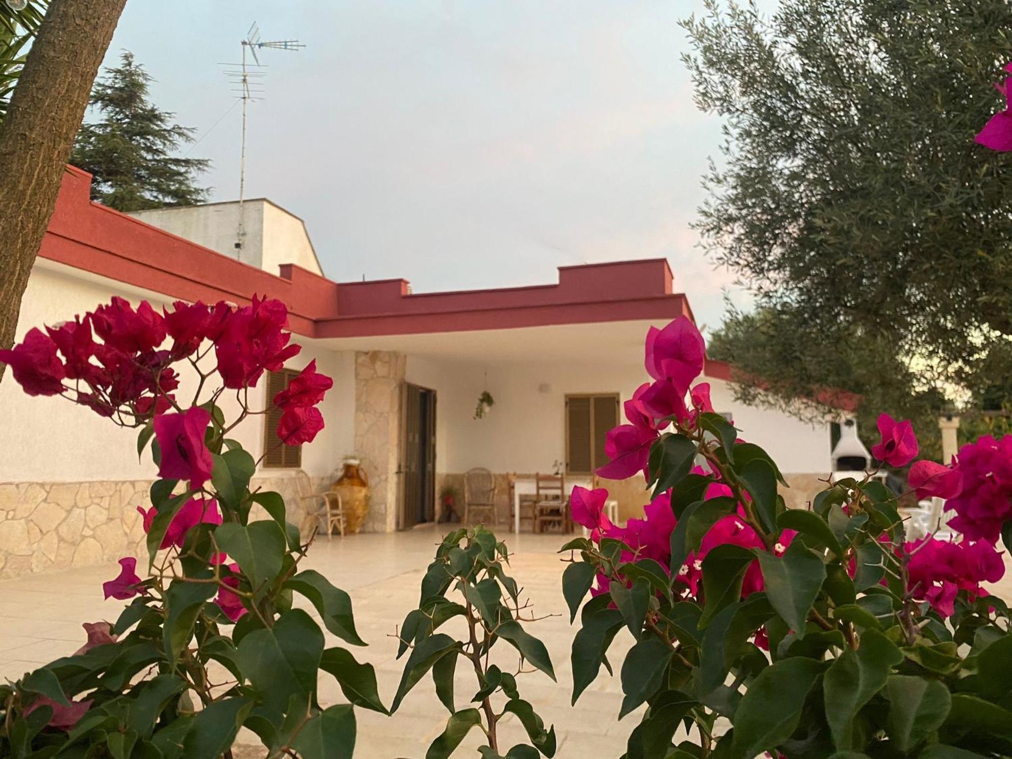 Casa Ale & Vinci Villa Monopoli Exterior photo